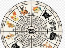 Правила использования Китайского гороскопа. Июль