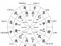 Правила использования Китайского гороскопа. Ноябрь