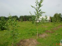 Продаю землю сельхозназначения в Калужской области