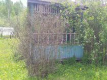 Продается дача с участком в деревне Курочкино