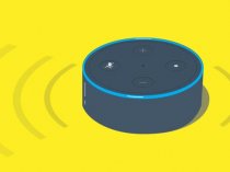 Amazon Alexa имеет больше всего голосовых приложений