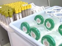 Белоруссия не планирует покупать российские тесты на коронавирус