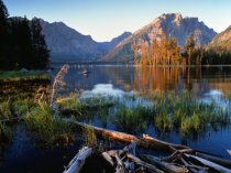 ОДНО ИЗ ЧУДЕС АМЕРИКИ - GRAND TETON NATIONAL PARK