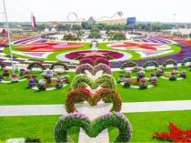 ЧУДО-САД В ДУБАЕ! (DUBAI MIRACLE GARDEN)