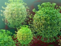 Шесть новых случаев коронавируса выявили в России