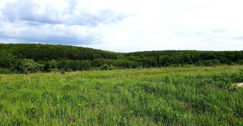 Р пензенская. Воскресеновка Пензенский район. Село Воскресеновка Пензенская область. Воскресеновка Пенза. Пензенская земля.