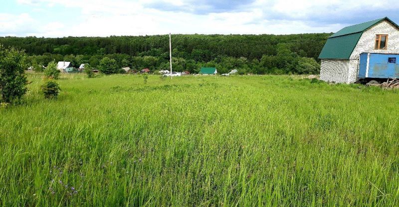 Участок пензенская. Воскресеновка Пенза. Село Воскресеновка Пензенская область. Пенза.Пензенский район с.Воскресеновка. Участок в Воскресеновке.