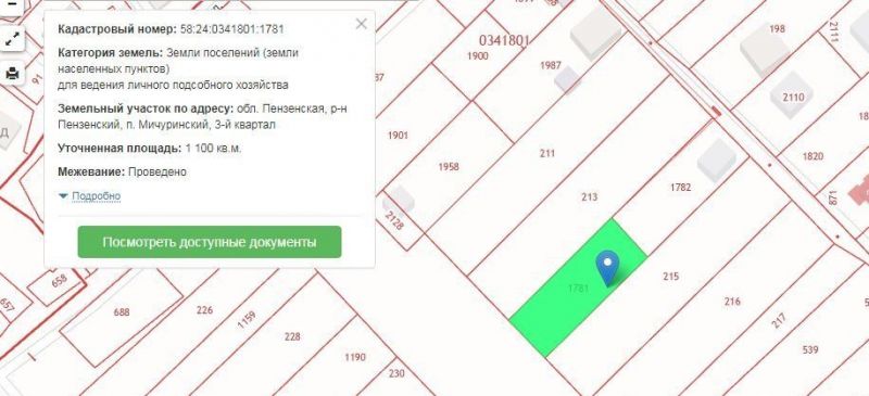 Кадастровая карта мичуринский район