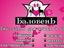 Профессиональные стрижки собак и кошек в Новороссийске