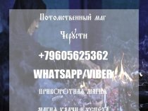 Потомственный маг Черусти