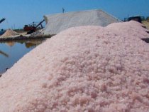 Крымская морская розовая coль