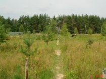 Продаю землю сельхозназначения в Калужской области